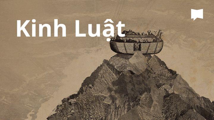 BibleProject | Kinh Luật