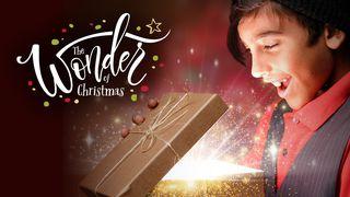 The Wonder Of Christmas