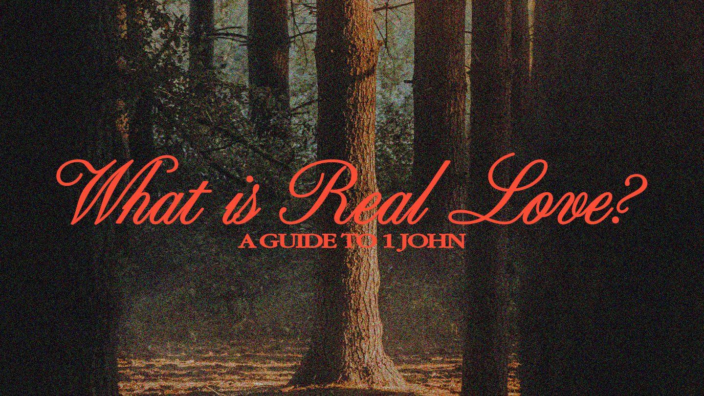 What Is Real Love? A Guide to 1 John 1 John 5:18-19 King James Version