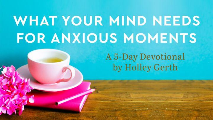 What Your Mind Needs for Anxious Moments