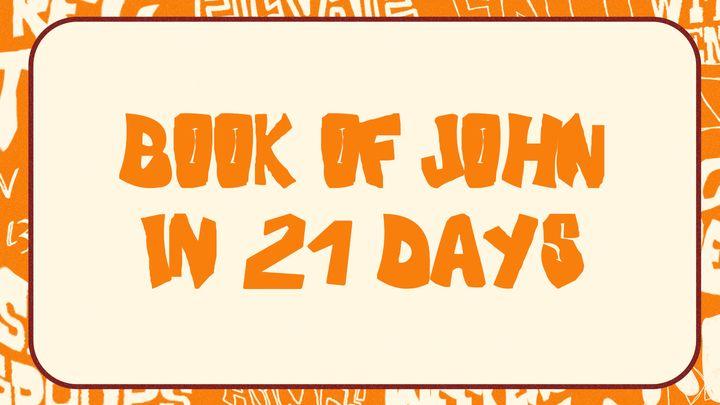 Elevate Book of John Bible Reading Plan