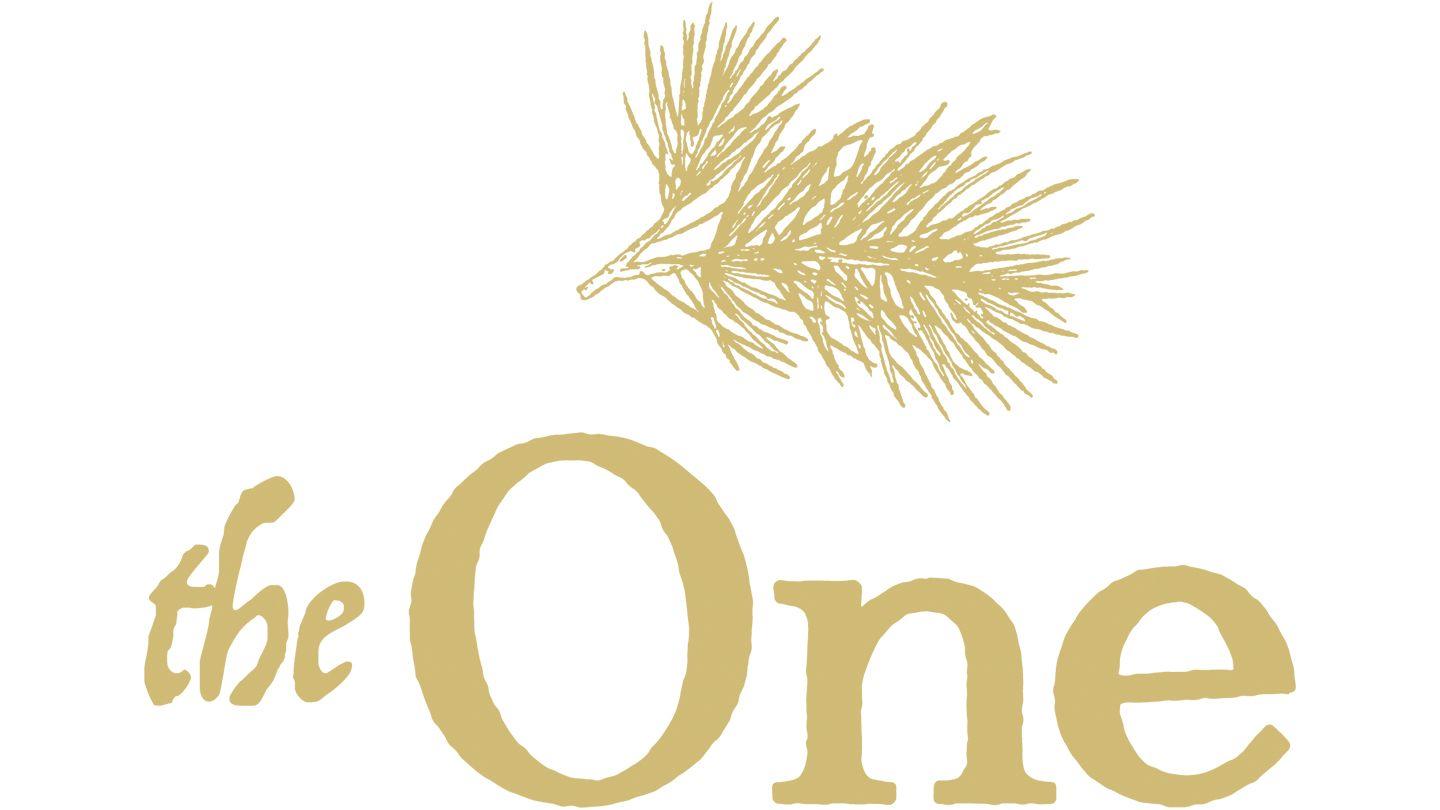 The One: Advent Micah 7:8-12 King James Version