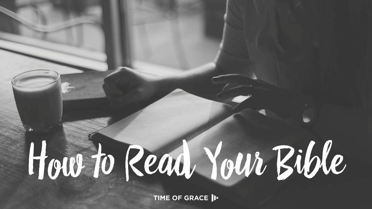 How to Read Your Bible