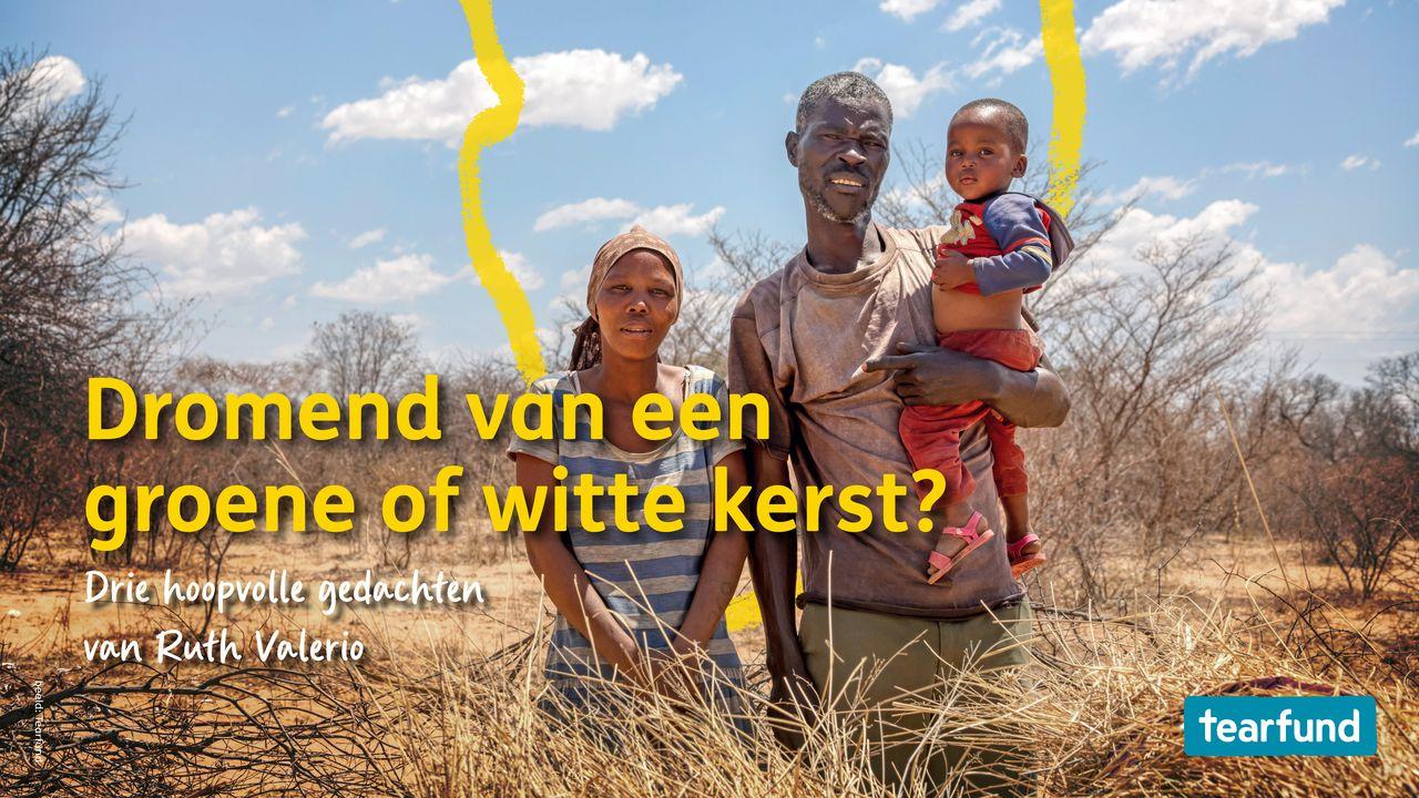 Dromend Van Een Groene of Witte Kerst?