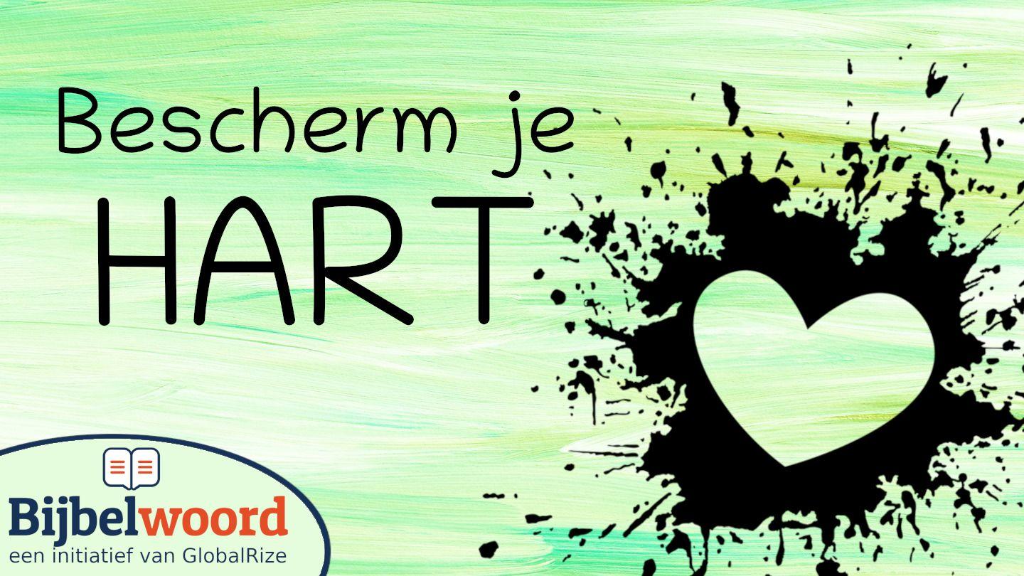 Bescherm Je Hart Efeziërs 3:16-18 Het Boek