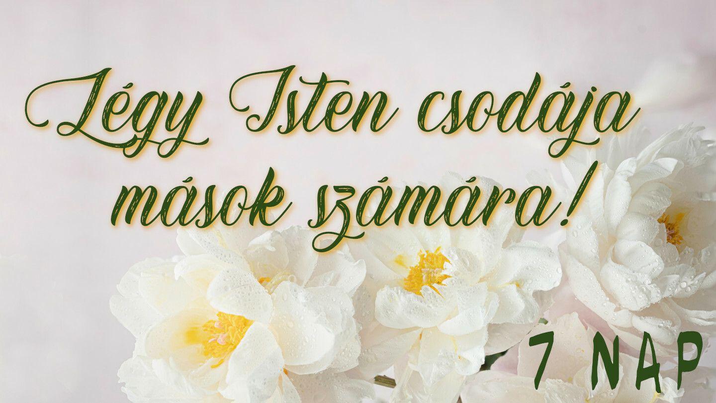 Légy Isten Csodája Mások Számára! Matayu 6:33 Ono