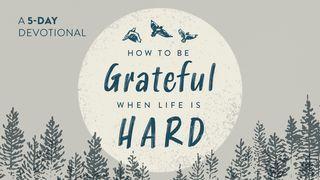 How to Be Grateful When Life Is Hard Daniel 2:19-49 New Century Version