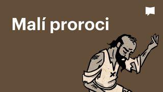 BibleProject | Malí proroci