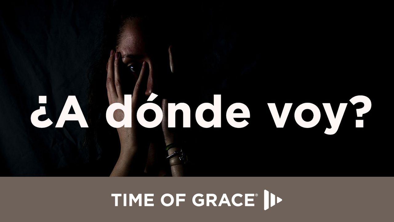 ¿A dónde voy?