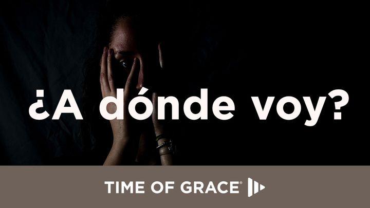 ¿A dónde voy?