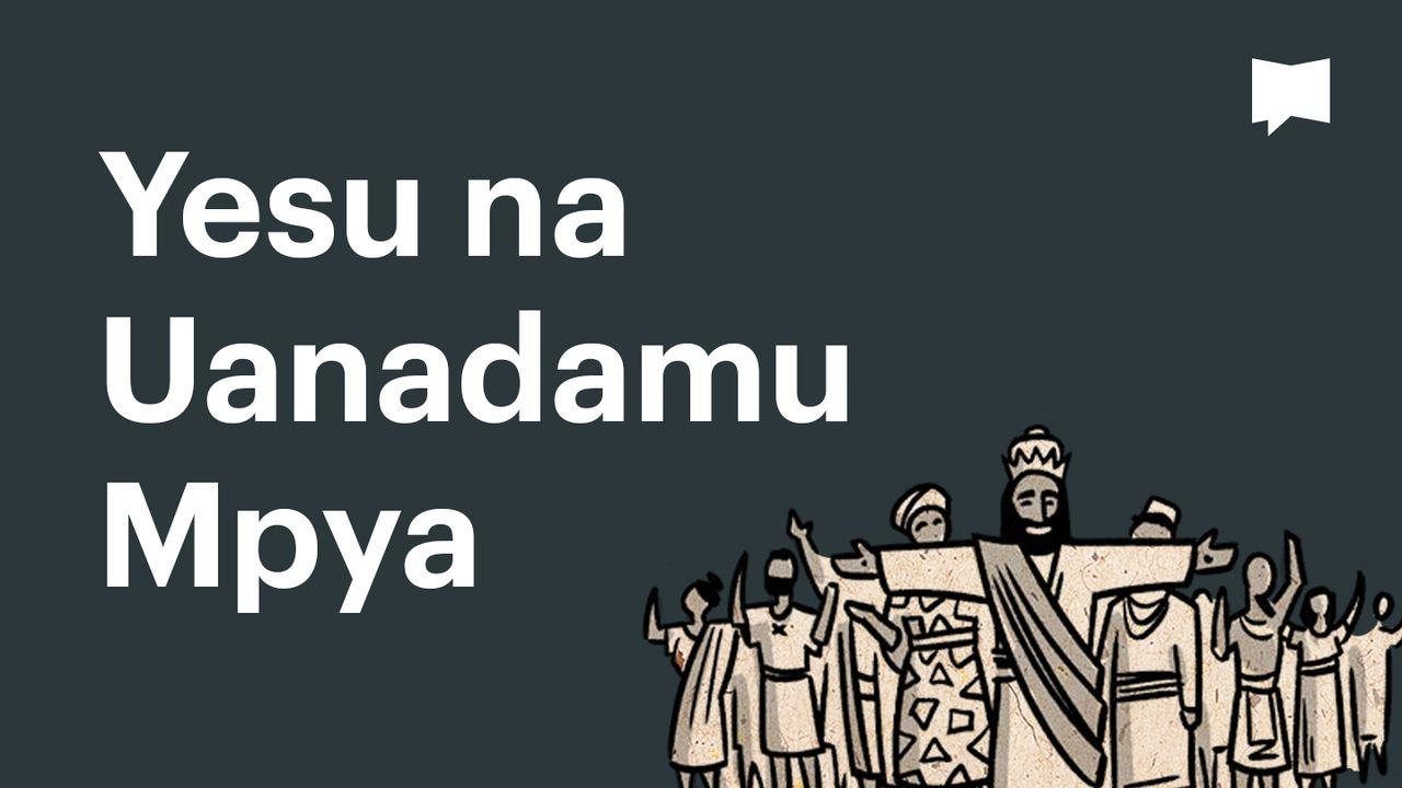 BibleProject | Yesu na Uanadamu Mpya