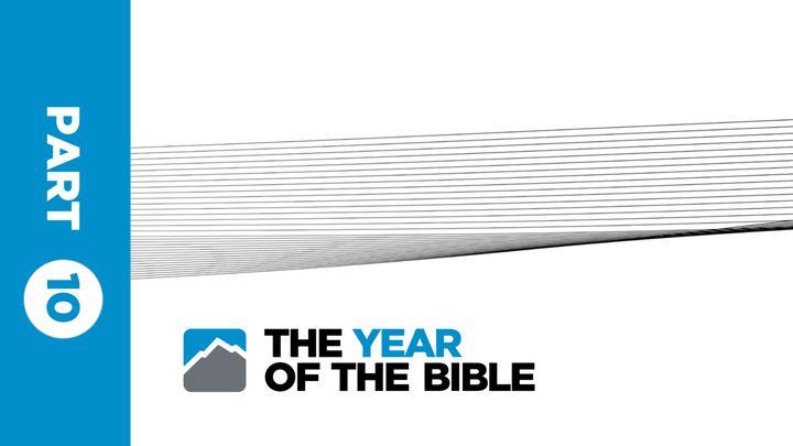 Year of the Bible: Part Ten of Twelve