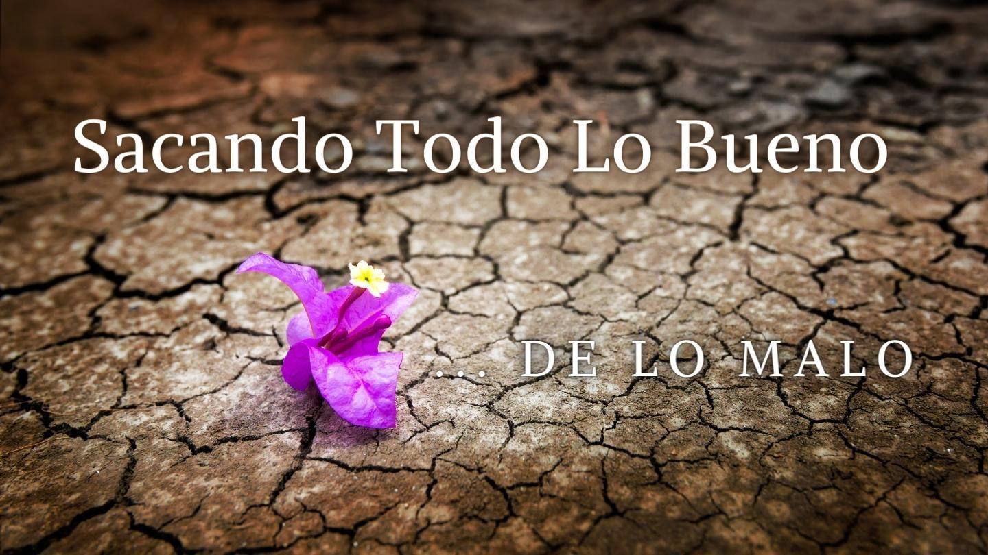 Sacando Todo Lo Bueno, De Lo Malo Eclesiastés 3:1-5 La Biblia de las Américas