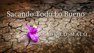 Sacando Todo Lo Bueno, De Lo Malo
