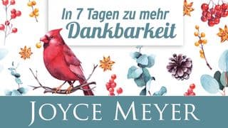In 7 Tagen zu mehr Dankbarkeit