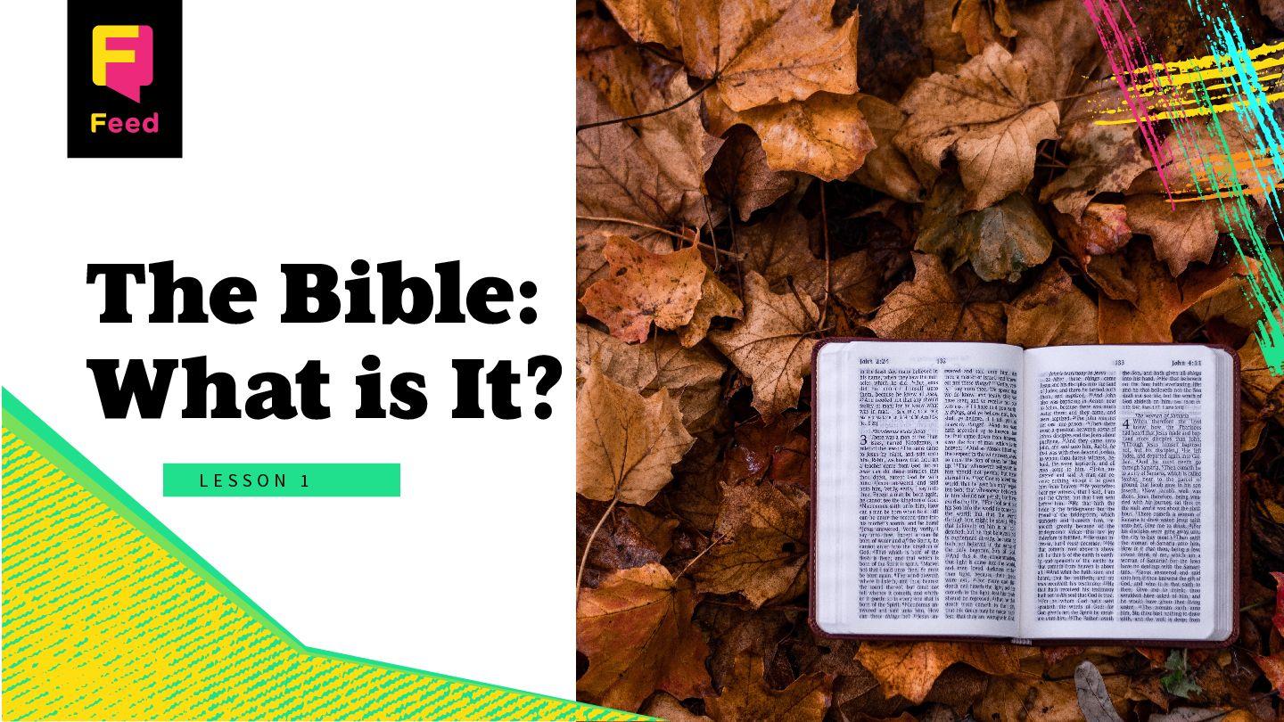 The Bible. What Is It? 