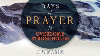 Days of Prayer to Overcome Strongholds Isaiah 14:13 New American Standard Bible - NASB 1995