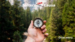 Soltero Con Causa Mateo 22:37-39 Nueva Traducción Viviente