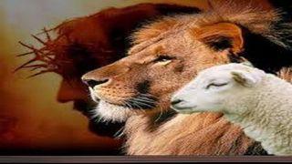 Ovejas De Su Prado ዮኻ. 10:28 መጣፍ ቅዱስ በጉራጌኛ