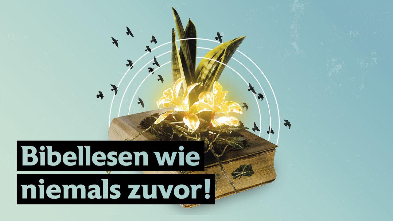 Bibellesen wie niemals zuvor