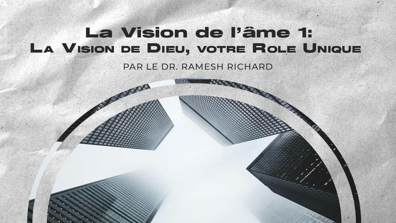 La Vision de l’âme 1: La Vision de Dieu, votre Role Unique