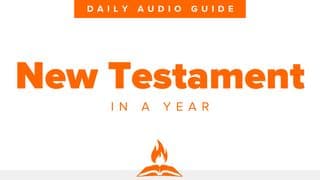 New Testament in a Year | Daily Audio Guide