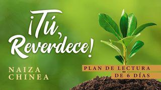 ¡Tú, Reverdece! Jon 15:8 Kewa, West