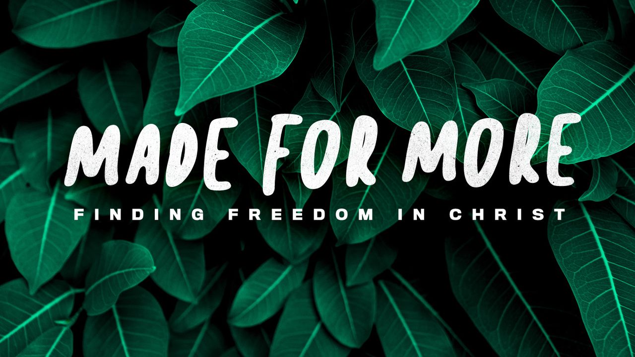 Made for More: Finding Freedom in Christ
