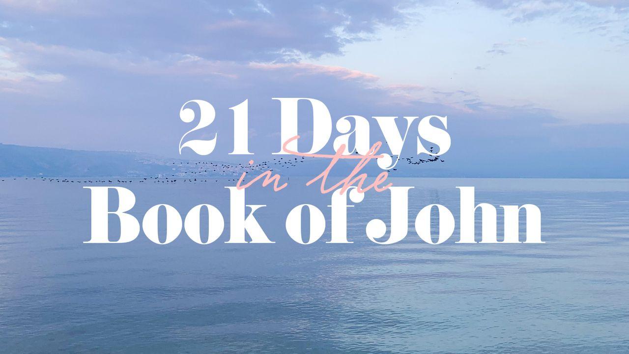 21 Days in the Book of John
