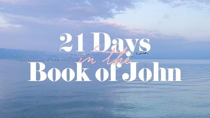 21 Days in the Book of John