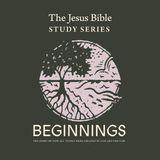 Beginnings: Created by God and for God