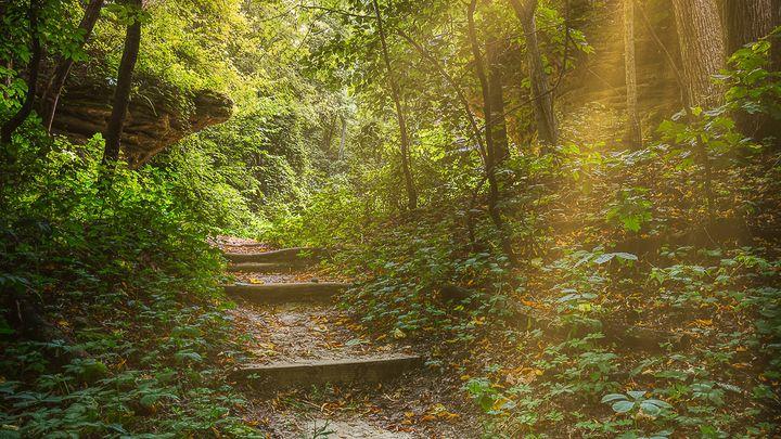 Hebrews: Inspiration for the Journey P3