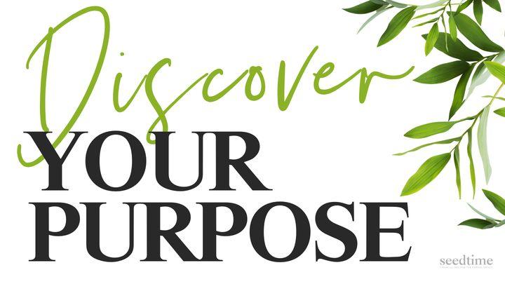 Discover Your Purpose & Calling