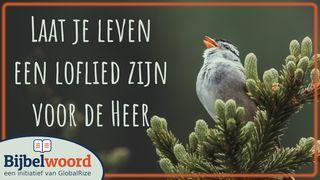 Laat je leven een loflied zijn voor de Heer