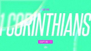 1 Corinthians 1-3 哥林多前書 3:4-13 新標點和合本, 神版
