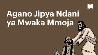 BibleProject | Agano Jipya Ndani ya Mwaka Mmoja