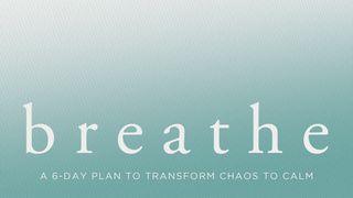 Breathe: A 6-Day Plan to Transform Chaos to Calm Matei 11:27 Malagano ga Ambi
