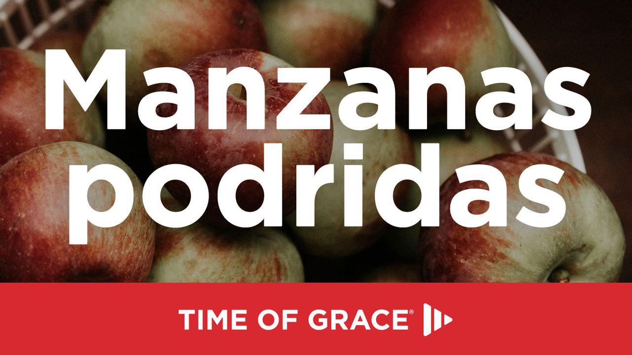 Manzanas podridas