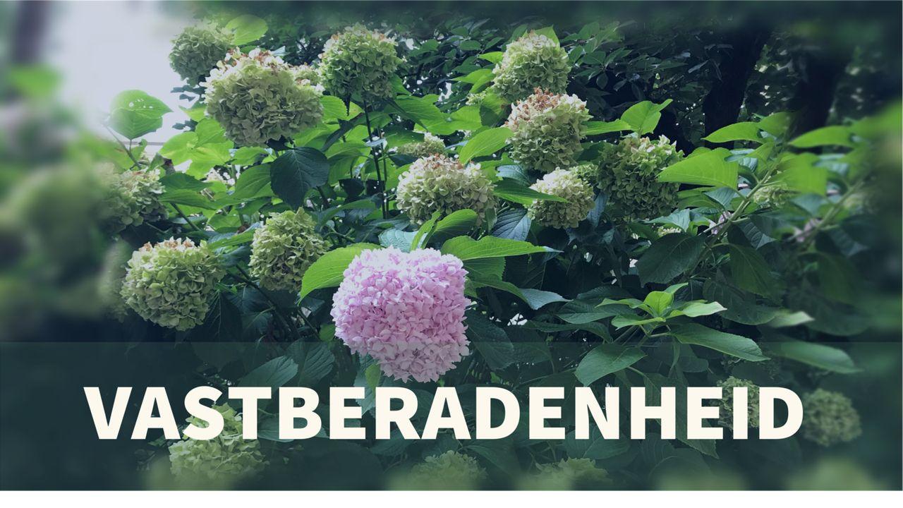 Vastberadenheid