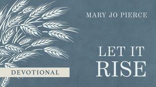 Let It Rise: Sacred Ingredients for a Life of Prayer Ecclesiastes 11:1, 2, 3, 4, 5, 6, 7, 8, 9, 10 English Standard Version 2016