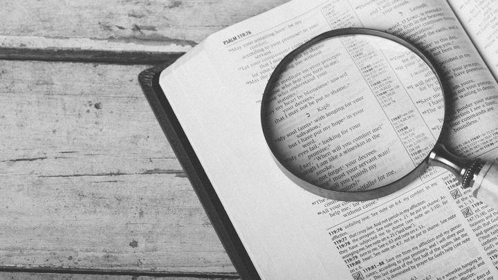 Daily Bible Reading Guide (Catholic)
