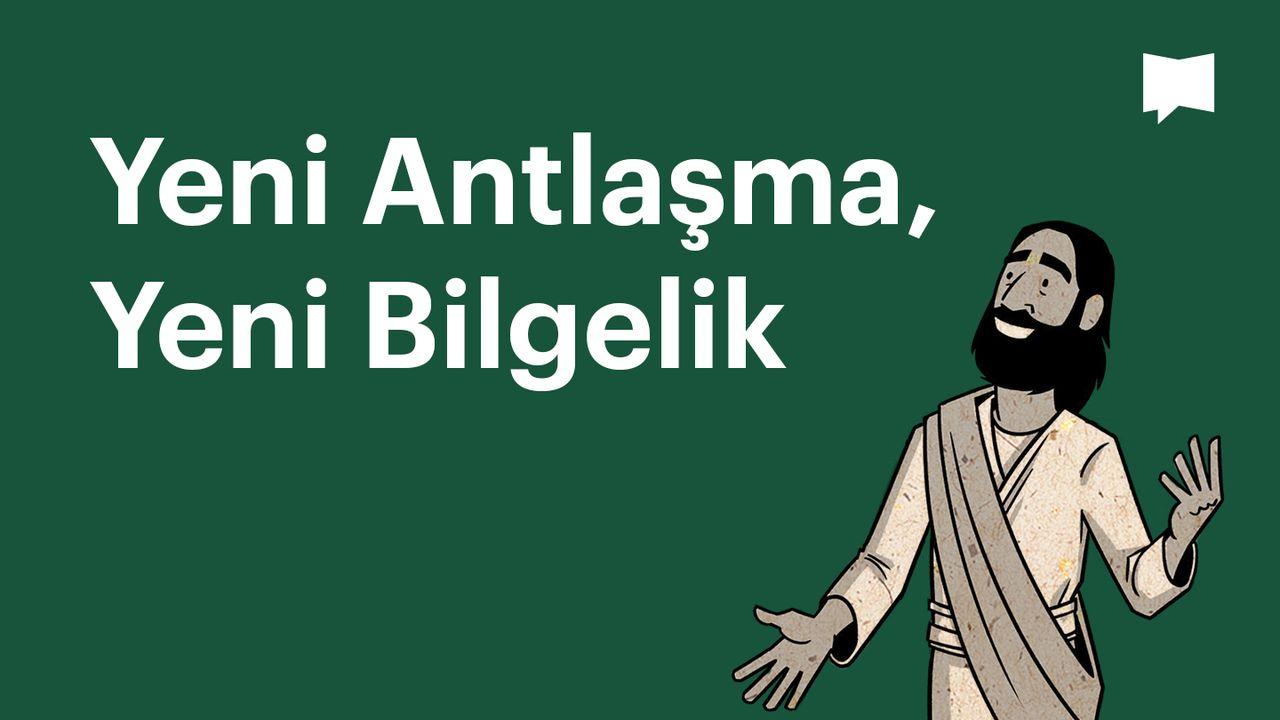 BibleProject | Yeni Antlaşma, Yeni Bilgelik