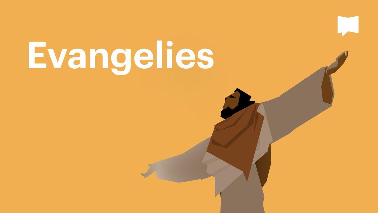 BibleProject | Evangelies