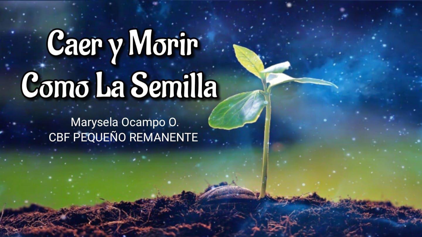 Caer y morir como la semilla Romanos 6:6-11 Traducción en Lenguaje Actual