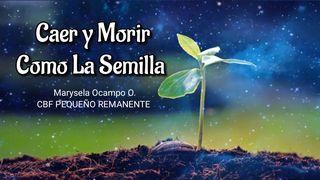 Caer y morir como la semilla 1 Pedro 1:13-17 Biblia Reina Valera 1960