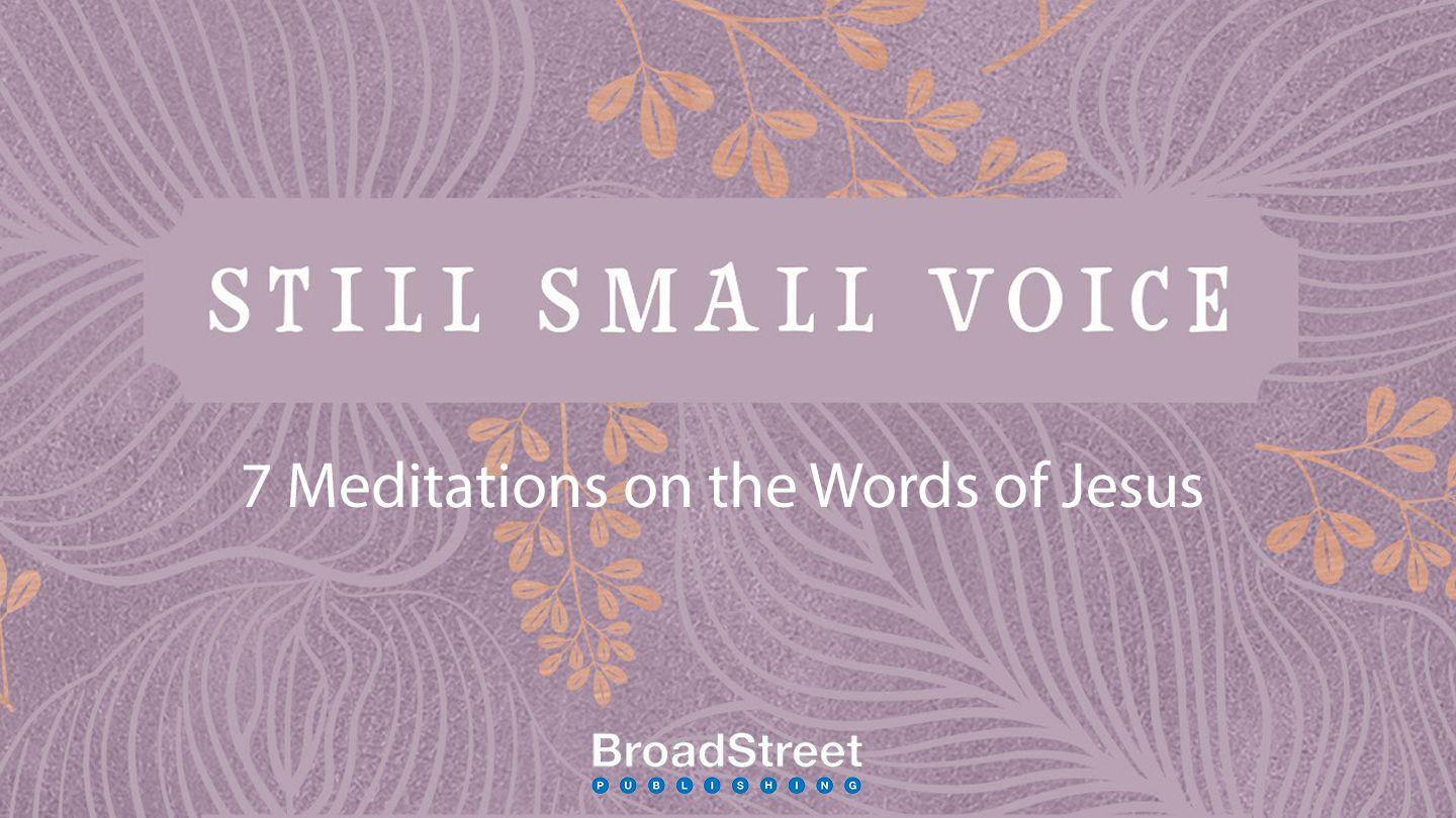 Still Small Voice: 7-Day Meditations on the Words of Jesus 马可福音 9:49 中文标准译本