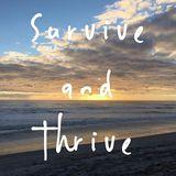 Divorce To Healing: Survive And Thrive