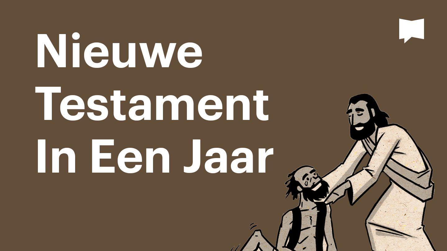 BibleProject | Nieuwe Testament In Een Jaar
