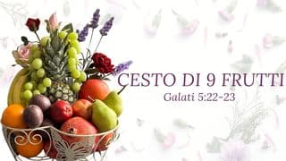 CESTO DI 9 FRUTTI