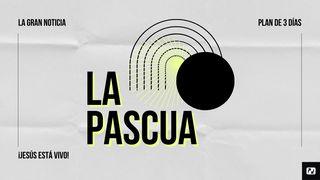Pascua Juan 20:11-20 Nueva Traducción Viviente